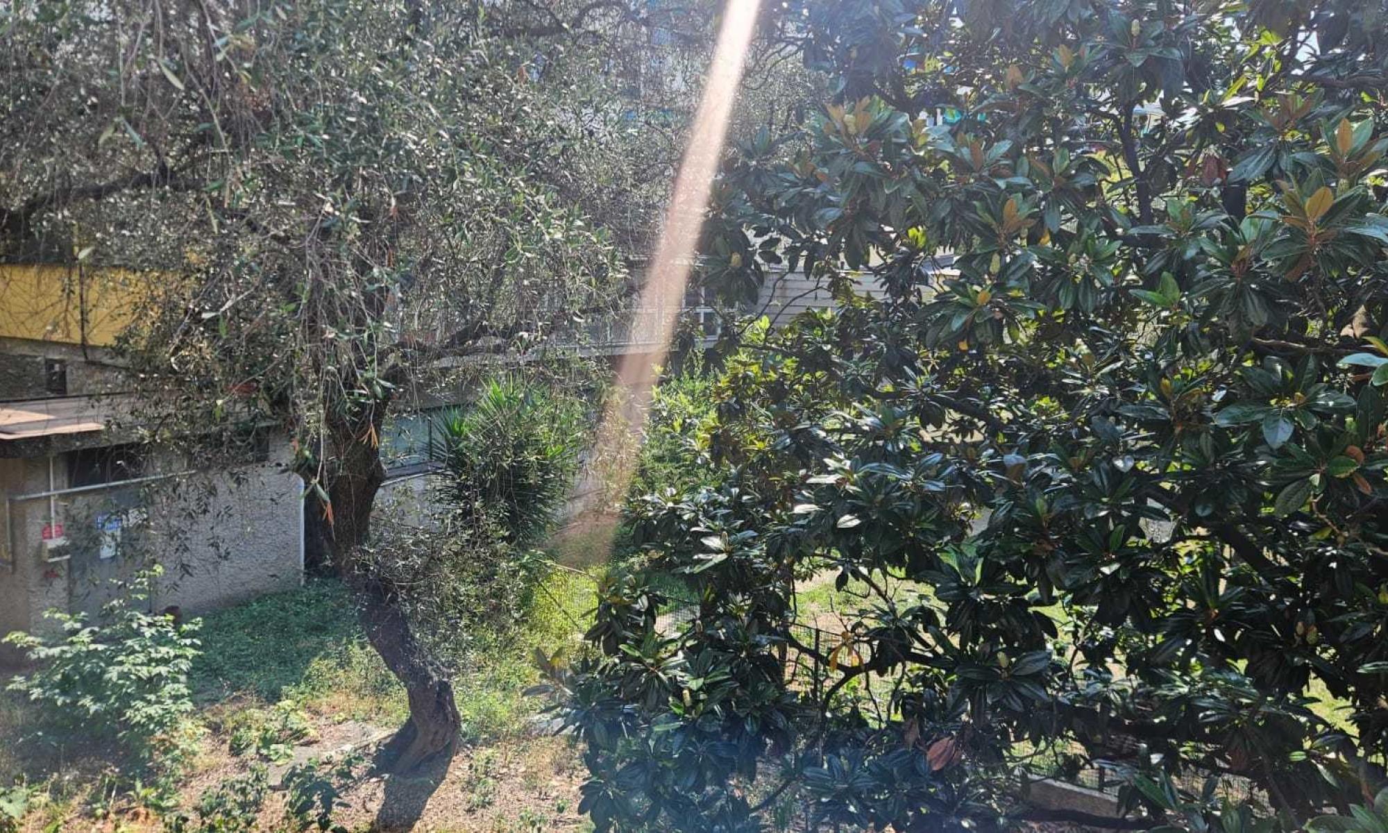 Appartamento 95mq Genova Sturla