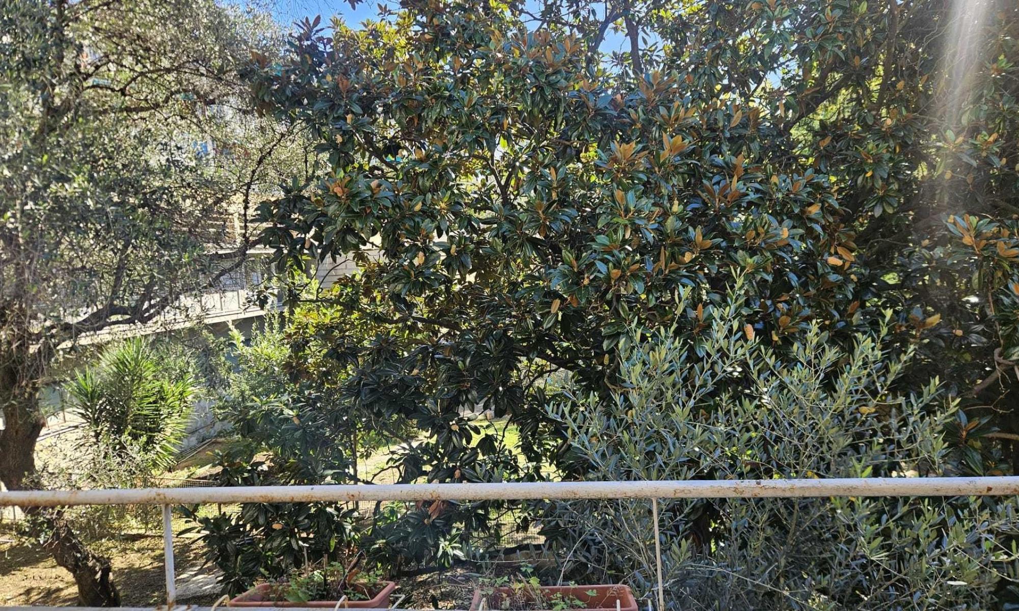 Appartamento 95mq Genova Sturla