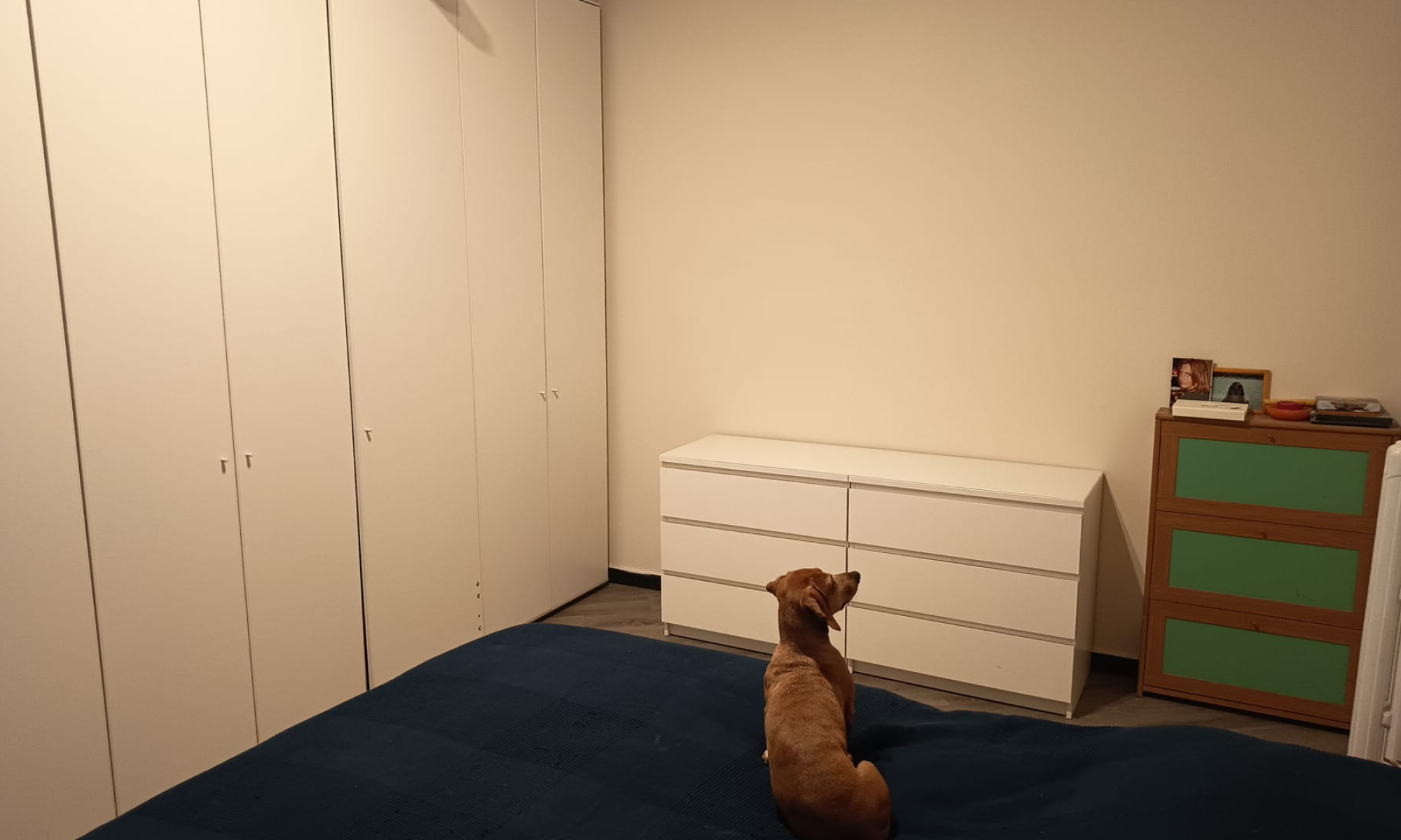 Appartamento 52mq Genova Albaro