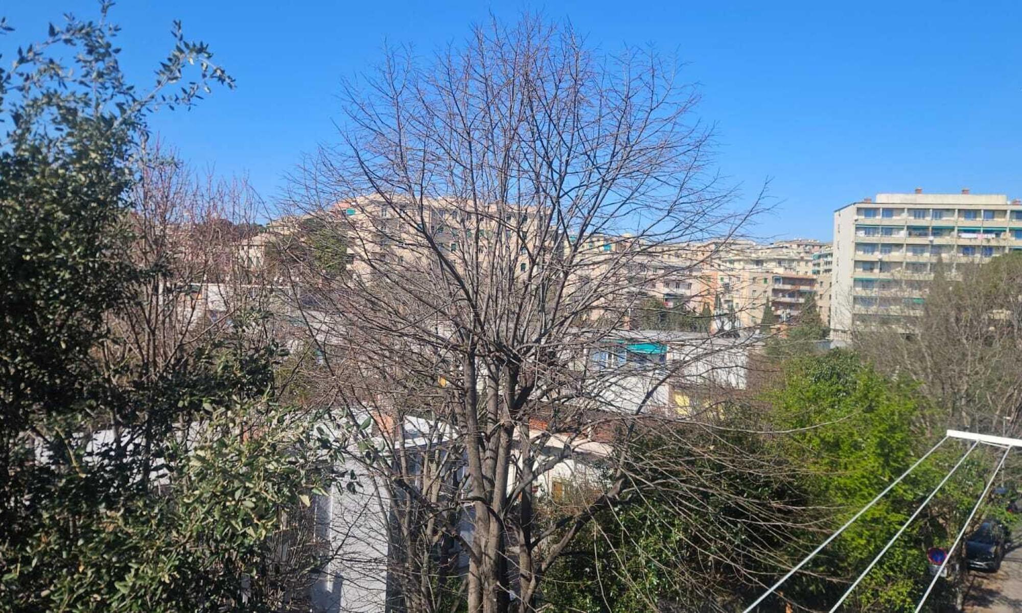 Appartamento 83mq Genova Sturla