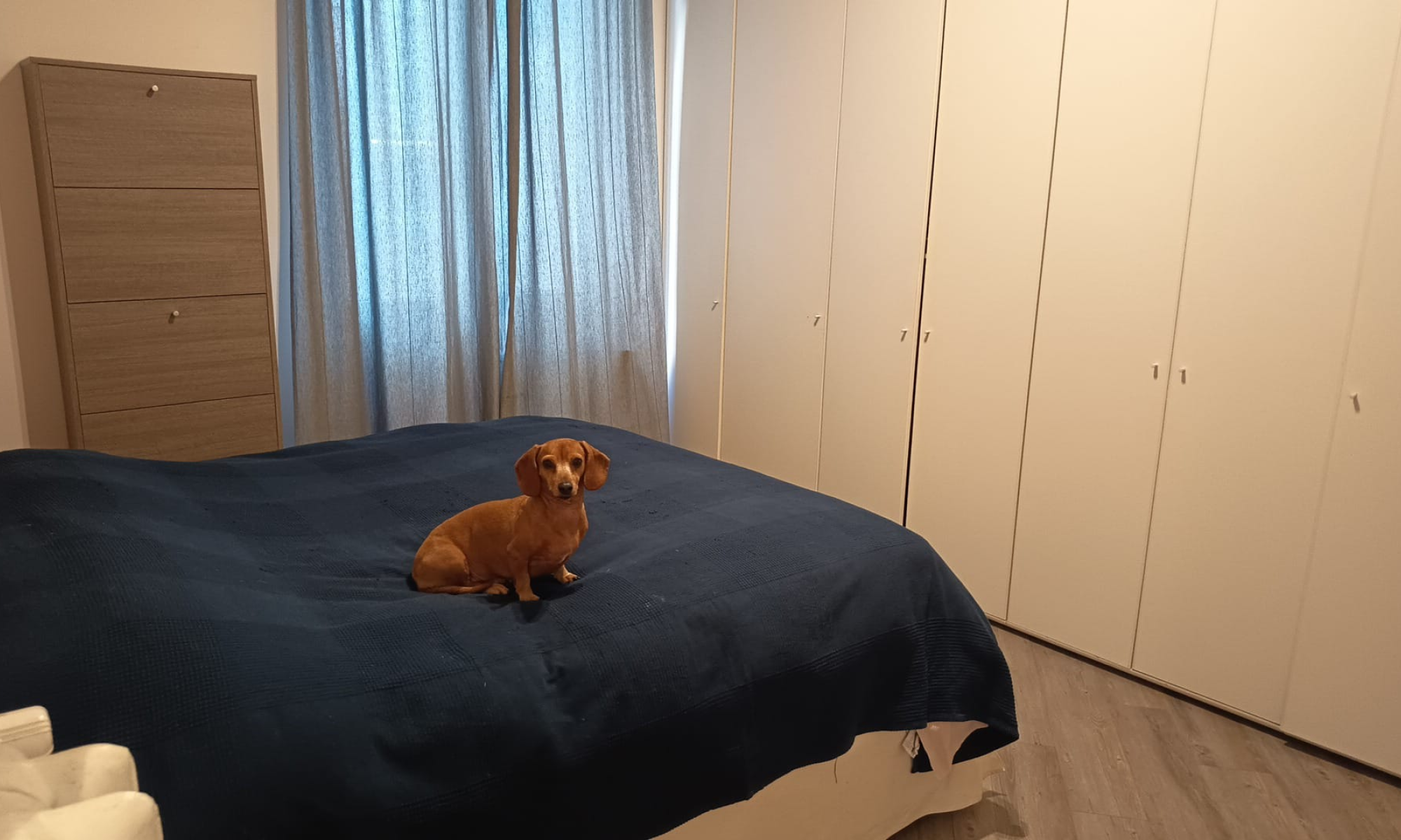 Appartamento 52mq Genova Albaro Appartamento 52mq Genova Albaro