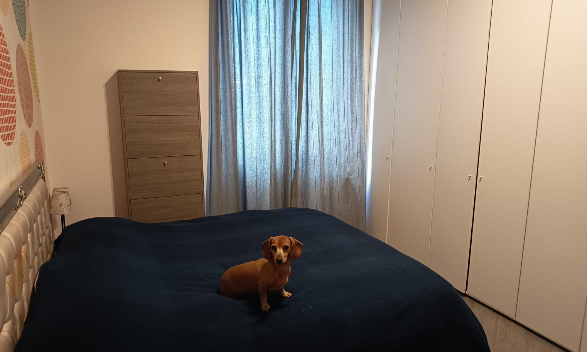 Appartamento 52mq Genova Albaro Appartamento 52mq Genova Albaro