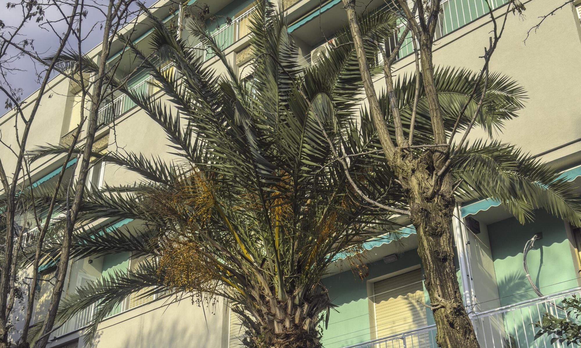 Appartamento 83mq Genova Sturla Appartamento 83mq Genova Sturla