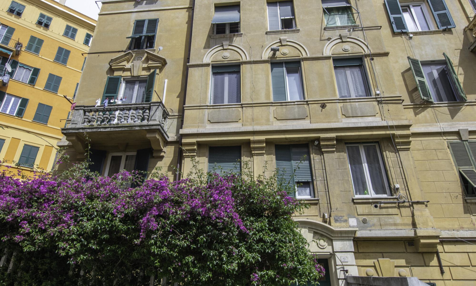 Appartamento 85mq Genova San Fruttuoso Appartamento 85mq Genova San Fruttuoso