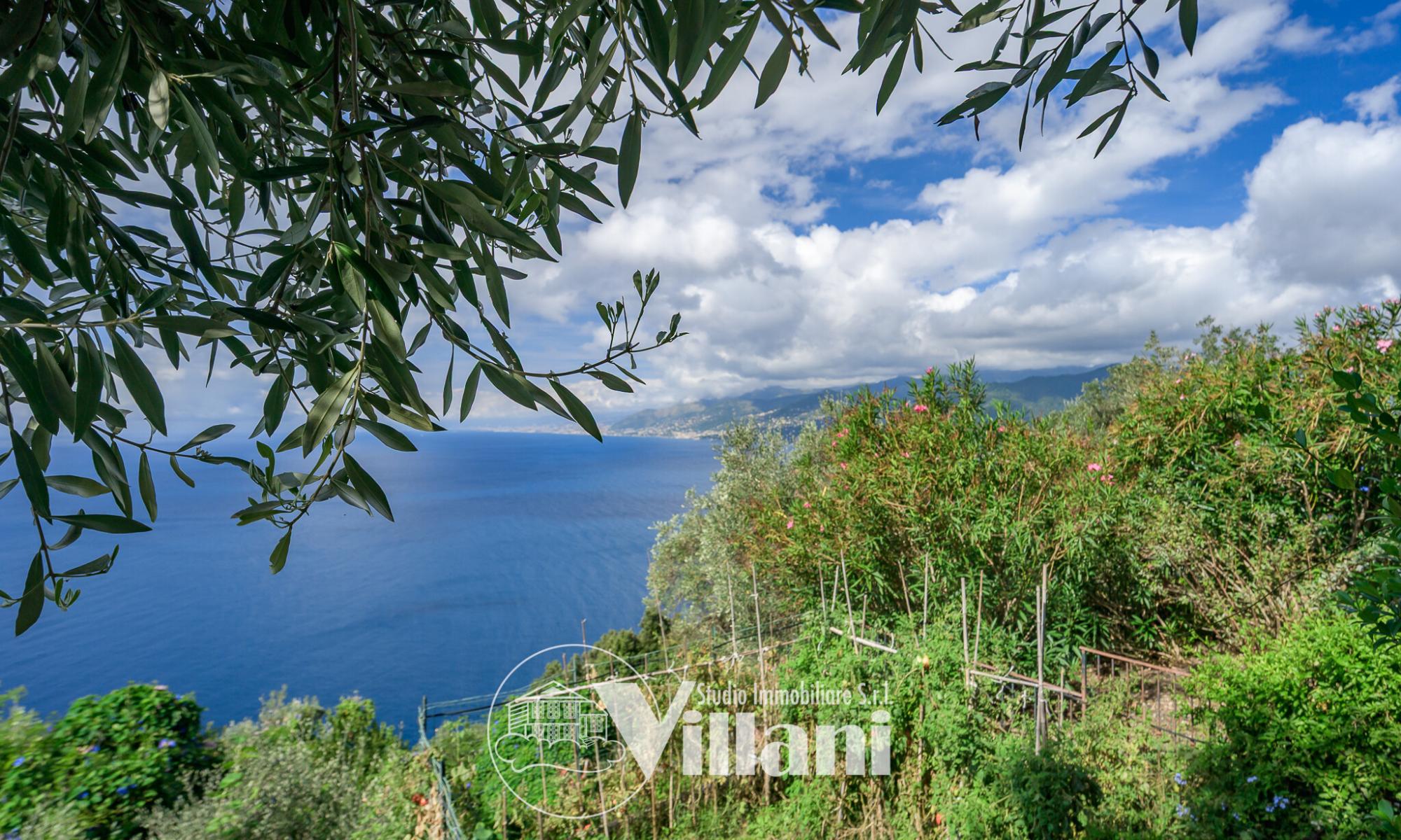 Appartamento 63mq Camogli Ruta