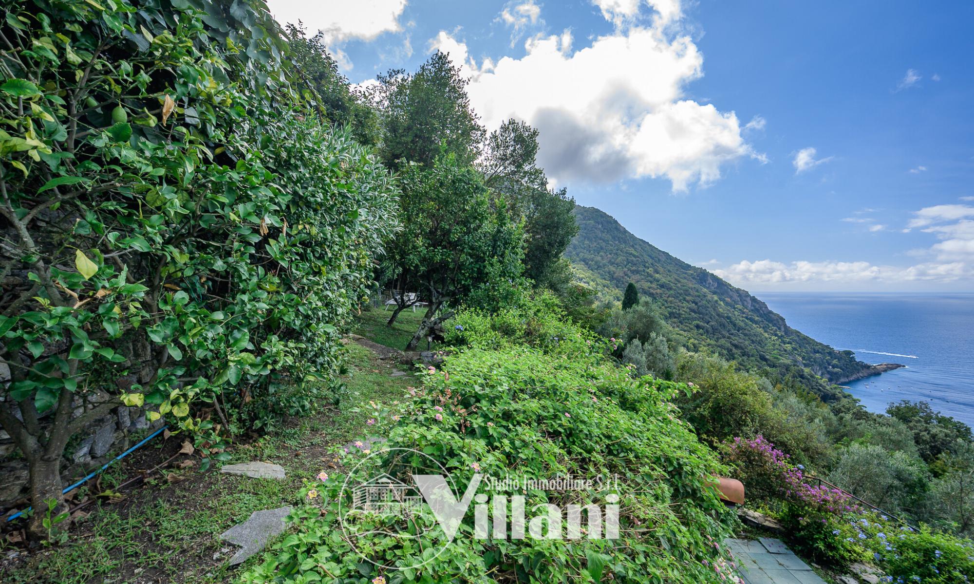 Appartamento 63mq Camogli Ruta Appartamento 63mq Camogli Ruta